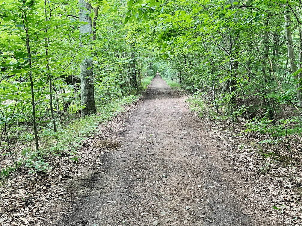 24-06-24 12-04-58 9830